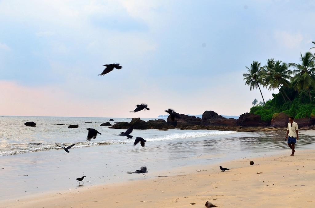 Ocean Green Kerala Kannur Exterior photo