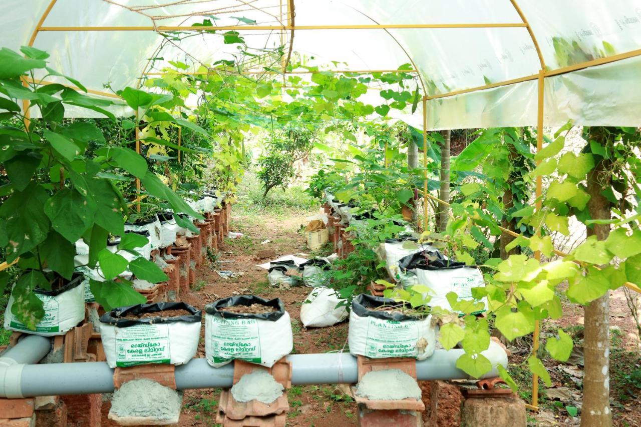 Ocean Green Kerala Kannur Exterior photo